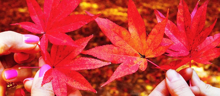azureva vacances automne bon plan