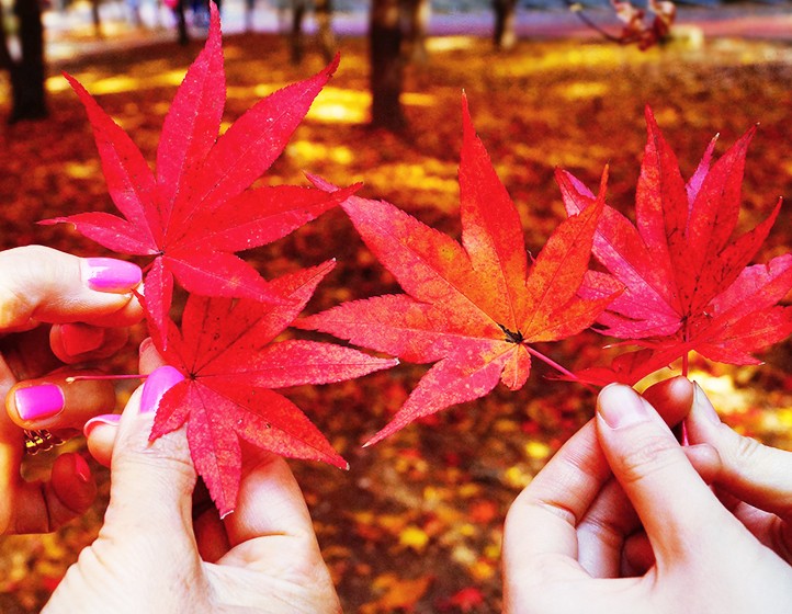 azureva vacances automne bon plan