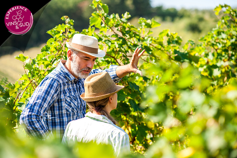 la londe les maures villages a theme sud vins oenologie